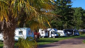 Un terrain de camping où des camping-cars sont stationnés sur un chemin de gravier, entouré de verdure et d’arbres.