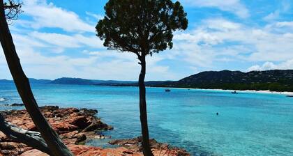 Chalet 3 étoiles - Piscine - ef0aac
