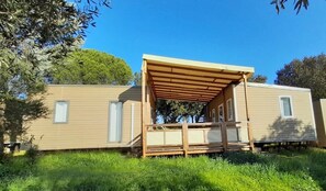 Unclassified image, 5 of 19, button