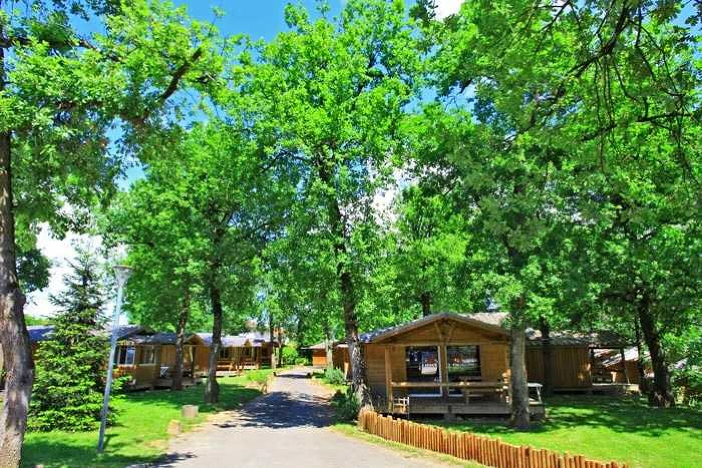 A row of wooden cabins with a paved path leading to them, surrounded by lush green trees.