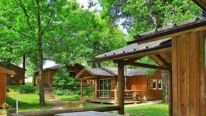 A wooden cabin with a picnic table and benches, surrounded by trees. - ZEcamping 4* familial espace aquatique chiens acceptés locatif LV BBQ (Albi)