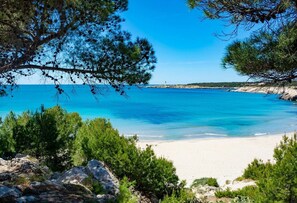 Ein Strand mit klarem, blauem Wasser, umgeben von grünen Kiefern und felsigem Gelände.