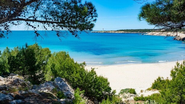 A beach with clear blue water, surrounded by green pine trees and rocky terrain.