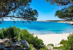 Une plage bordée d’une eau d’un bleu limpide, entourée de pins verdoyants et d’un paysage rocheux.