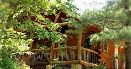 Cabin #6 - Laurel Haven