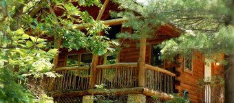 Cabin #6 - Laurel Haven | 0 Bed, 1 Bath