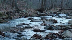 A river with rocks and trees in the background. - Second Wind Mountain Cabin (Stanardsville)