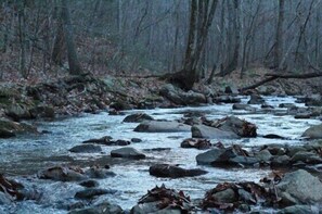 A river with rocks and trees in the background.