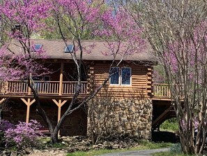 Exterior - Stream Song Mountain Cabin (Stanardsville)
