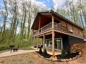 Exterior - The Speckled Owl Cabin (Stanardsville)