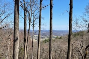 Miscellaneous - The Speckled Owl Cabin (Stanardsville)