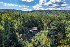 Une cabane entourée d’une forêt dense, offrant une vue dégagée sur la nature environnante.