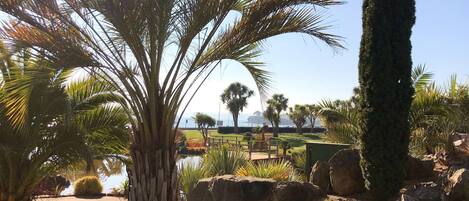 المنطقة المحيطة بالمنشأة