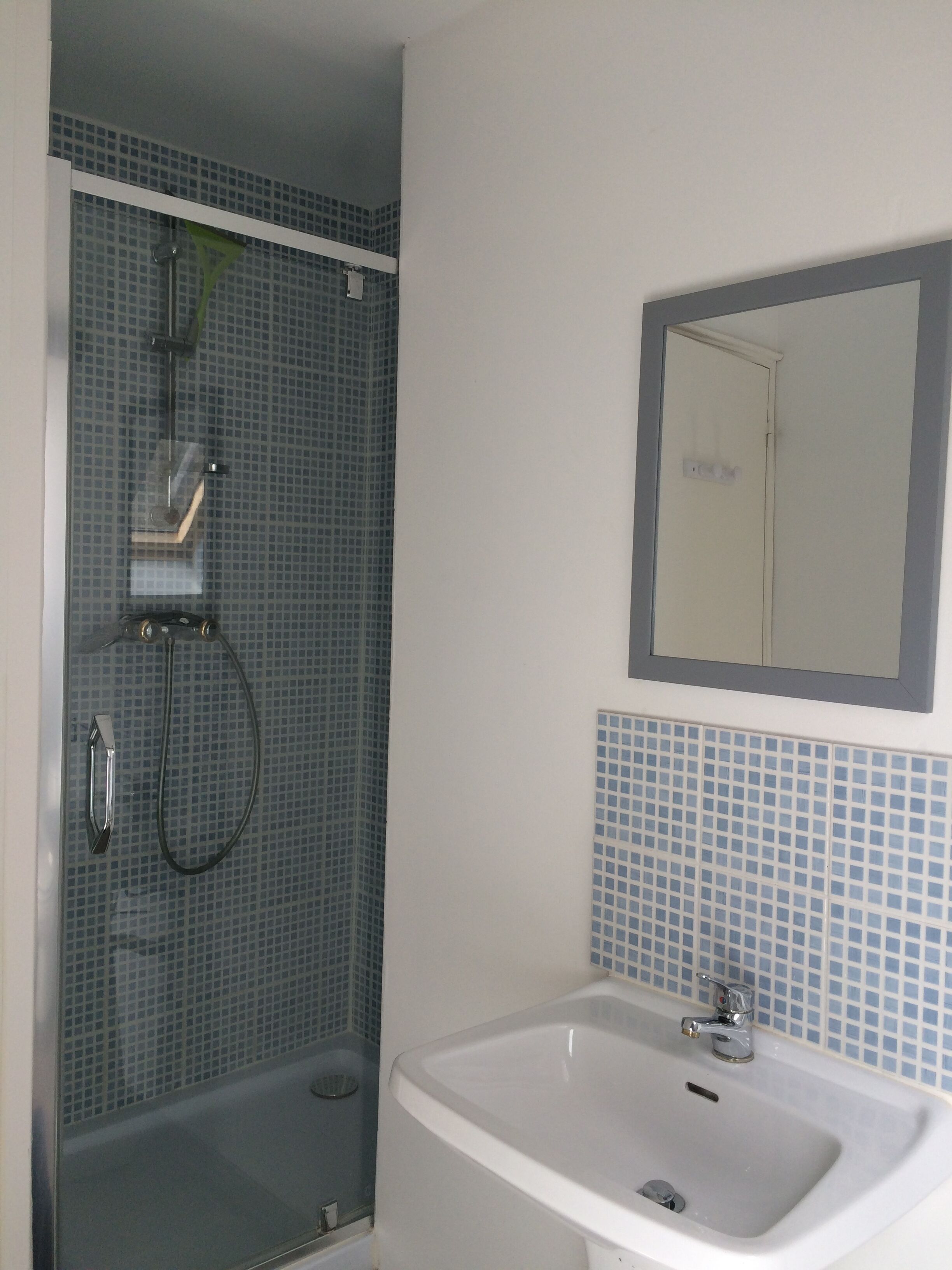 Une salle de bain avec une douche, un lavabo et un miroir.