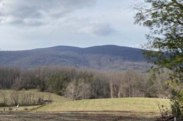 Un paysage composé d’une colline herbeuse, d’arbres et de montagnes lointaines.