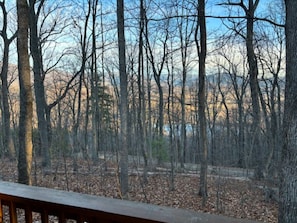 A forested area with a wooden deck in the foreground. - Sweet Reunion Mountain Cabin (Stanardsville)