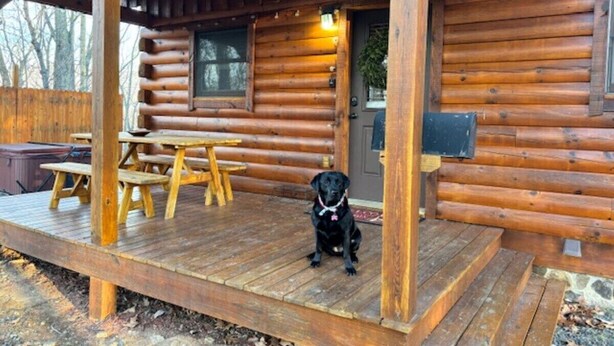 A log cabin with a wooden deck, a dog, and a bench. - Sweet Reunion Mountain Cabin (Stanardsville)
