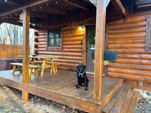 Eine Blockhütte mit einer Holzdiele, einem Hund und einer Bank.