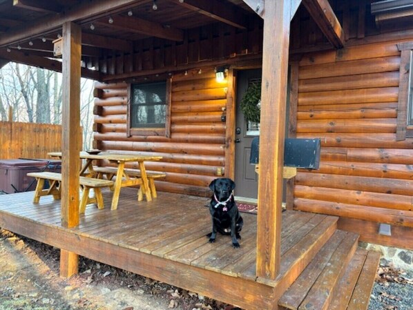 A log cabin with a wooden deck, a dog, and a bench. - Sweet Reunion Mountain Cabin (Stanardsville)