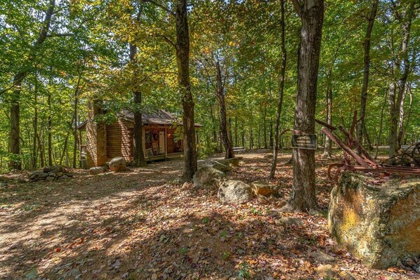 A rustic cabin surrounded by a dense forest with a dirt path leading to it.