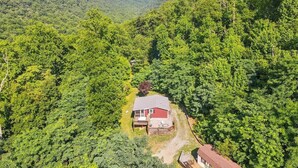 Une maison entourée d’une forêt dense, sous un ciel dégagé.