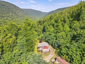 A house surrounded by dense forest, with a clear sky above. - Mountain Escape Cottage (Stanardsville)