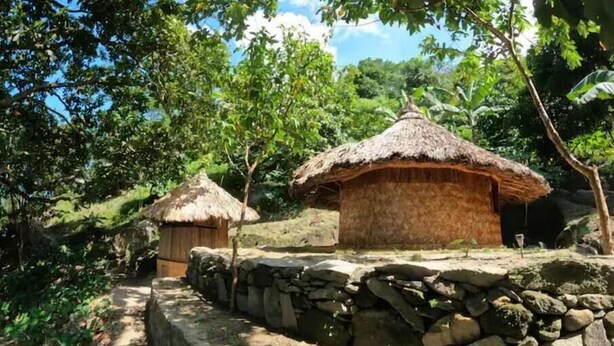 A rural setting with two thatched-roof huts surrounded by greenery and a stone wall. - Private waterfall and indigenous house! (Minca)