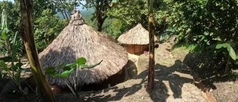 المنطقة المحيطة بالمنشأة