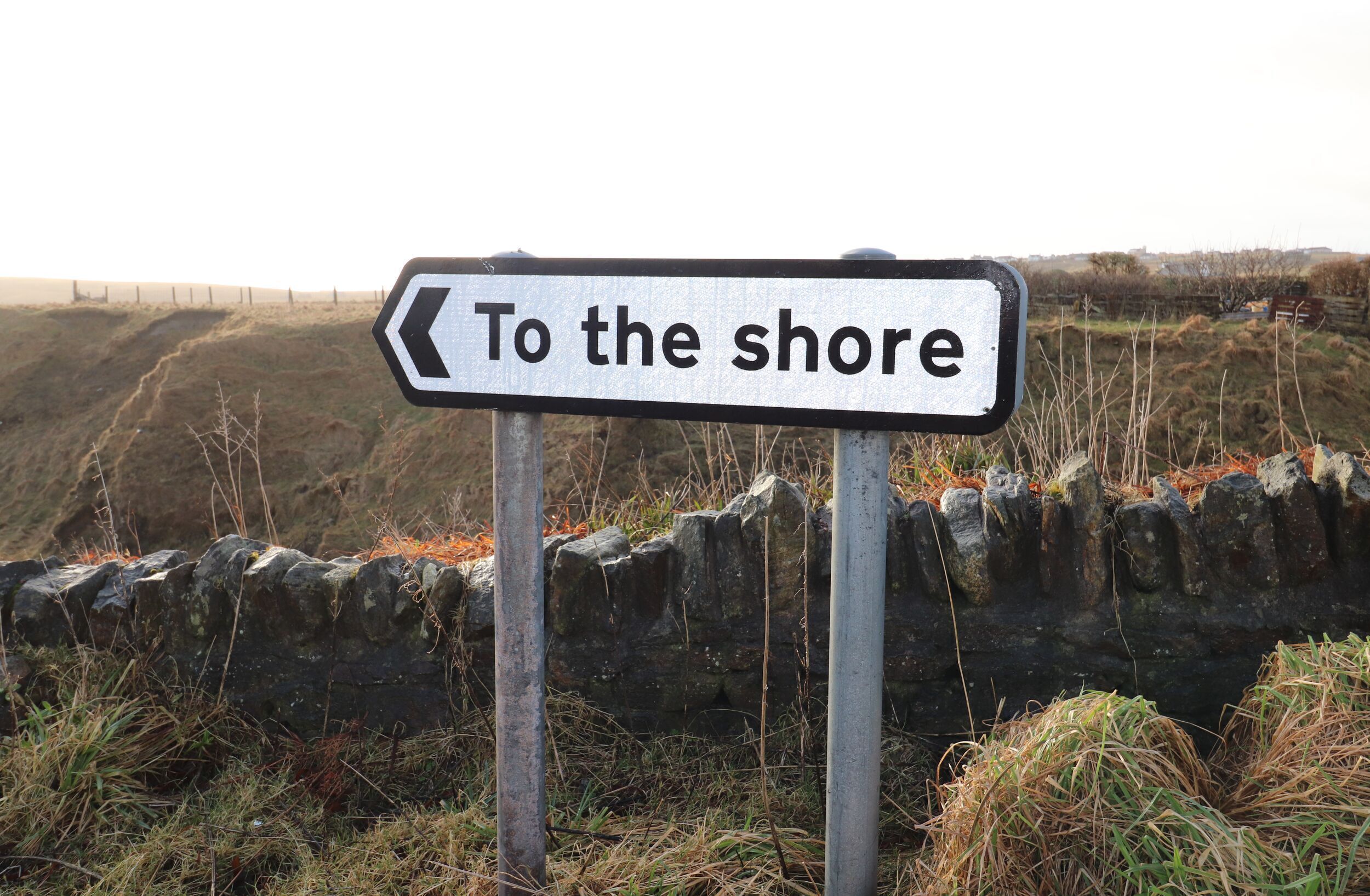 A directional sign with the text "To the shore" against a rural backdrop.