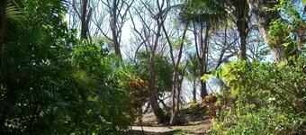 TREE HOUSE PLAYA SAMARA