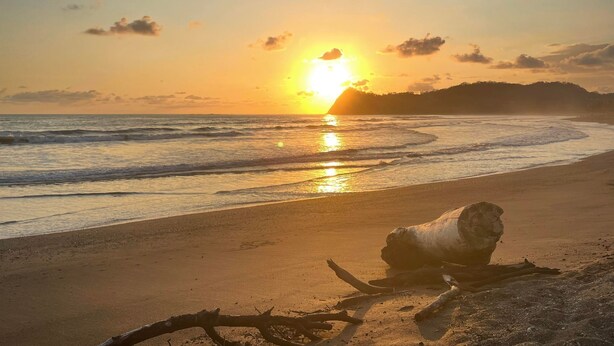 A sunset over a beach with a large rock in the foreground. - TREE HOUSE PLAYA SAMARA (Playa Samara Guanacaste Province)