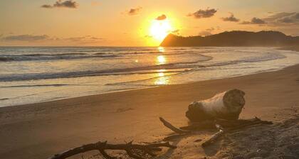 TREE HOUSE PLAYA SAMARA