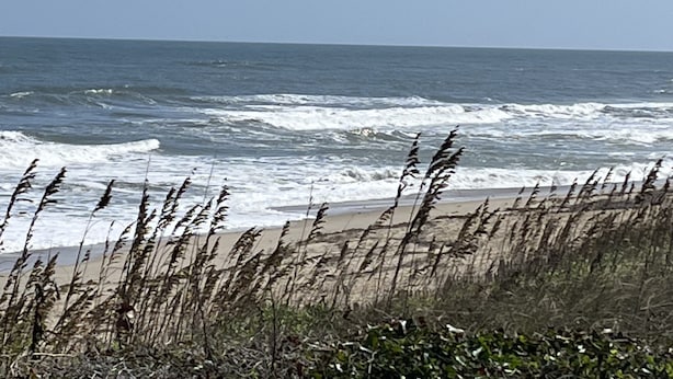 Une plage avec des vagues et des herbes au premier plan.