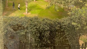 A residential area with a grassy park, trees, and a fence. - Luxurious Modern Apartment (Madinaty)