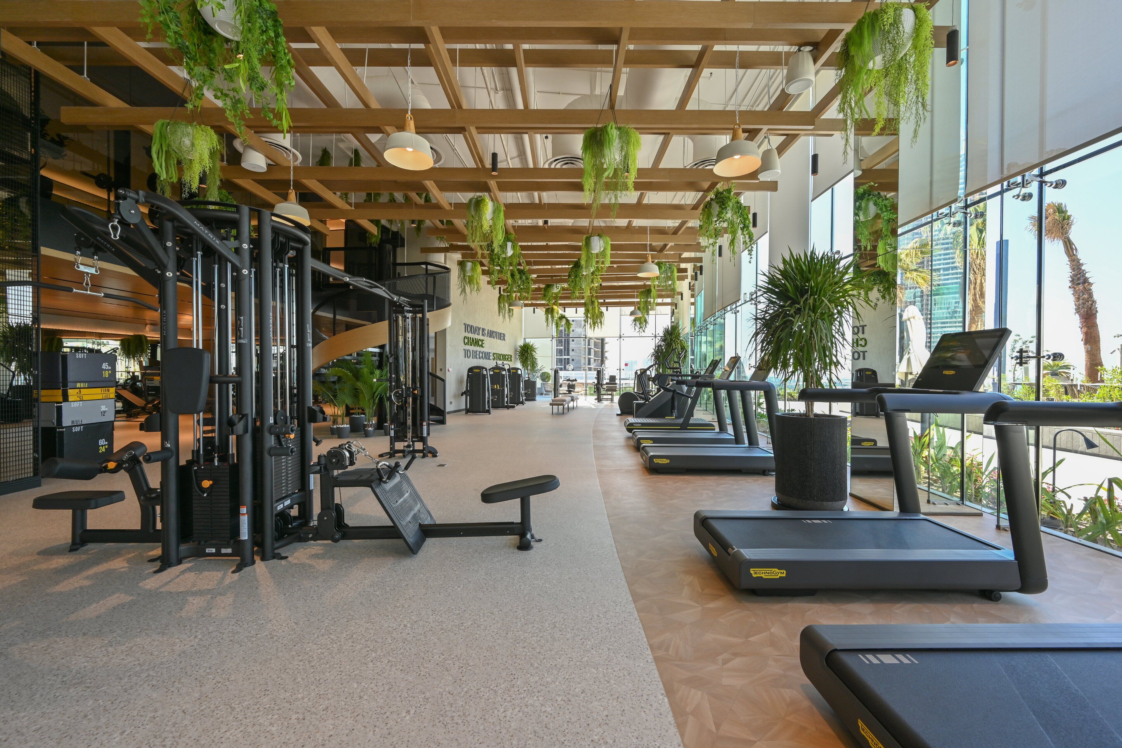 A gym with treadmills, weight machines, and hanging plants.