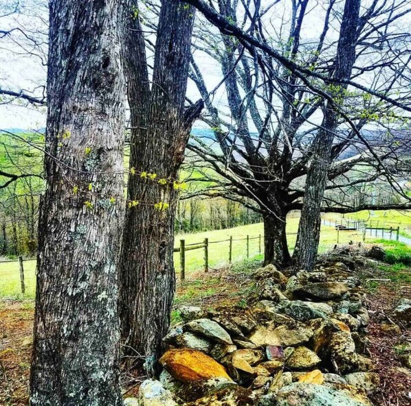 Un muro de piedra con árboles y una valla en un entorno rural.