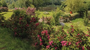 A lush garden with a picnic table, dense greenery, and a pond. - Garden View (Pembroke)