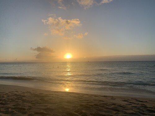 Breathtaking boho chic rainforest retreat perfect couples hideaway