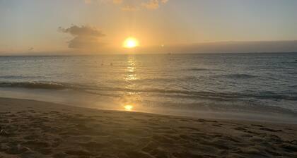 Breathtaking boho chic rainforest retreat perfect couples hideaway