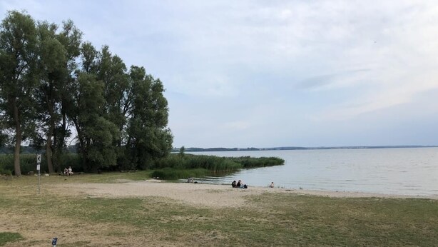 Une zone au bord du lac, avec un champ d’herbe, des arbres et une plage de sable.