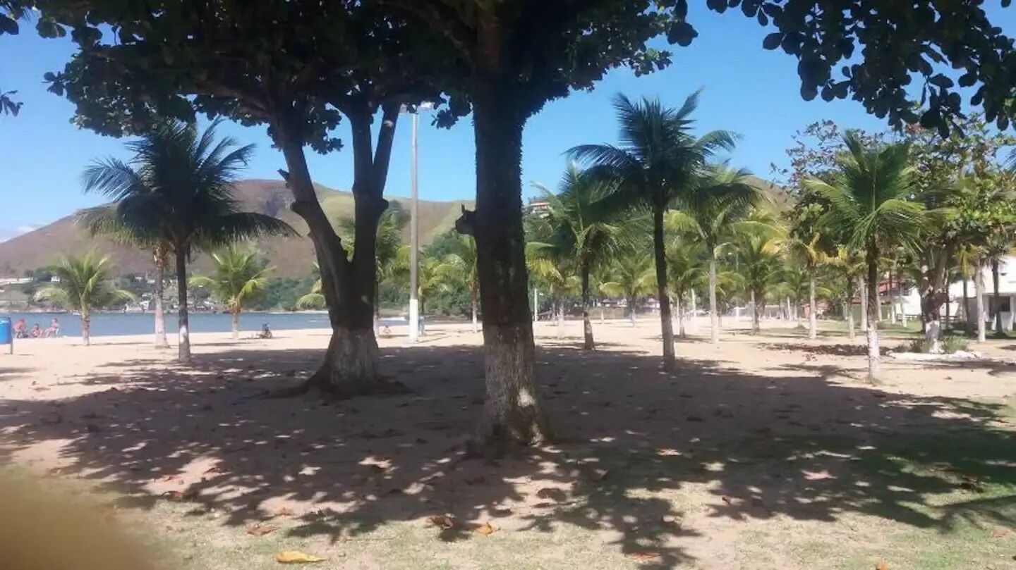 A beach with palm trees and a clear sky.