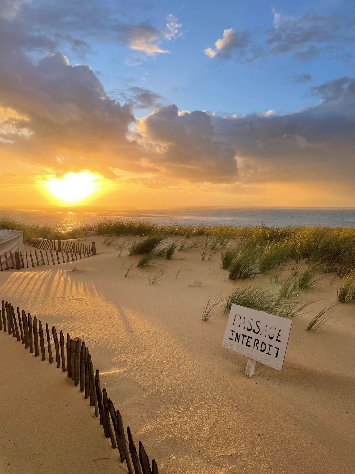 In Strandnähe, Liegestühle