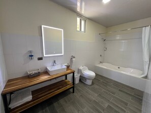 Habitación VIP | 浴室 | 淋浴设施、毛巾