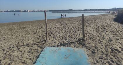 Appt T2 Port-camargue