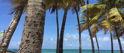 On the beach, sun loungers, beach towels