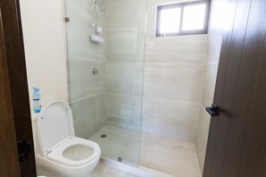 Secadora de cabello, toallas, jabón, papel de baño 