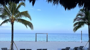 Une plage bordée de rangées de chaises longues en bois, avec un palmier au premier plan.