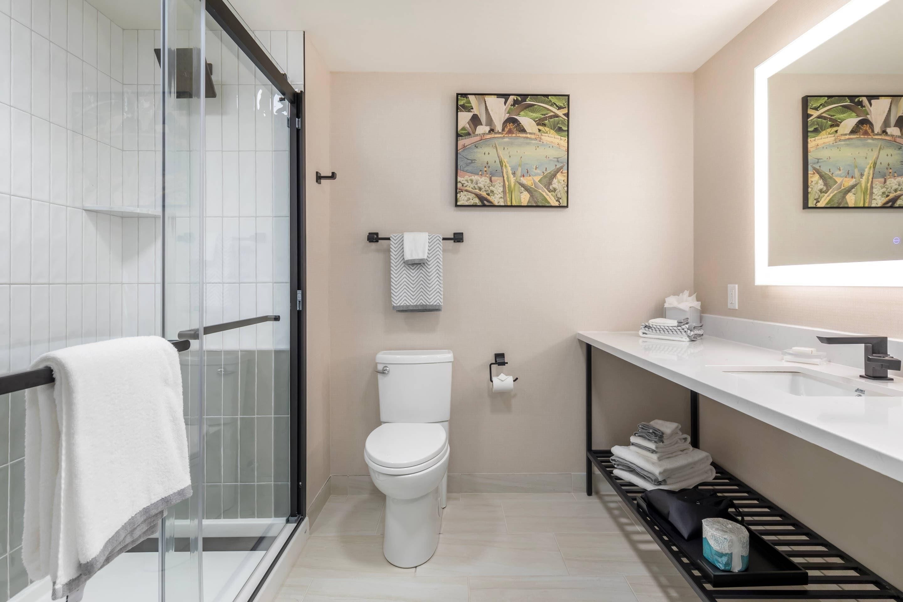 A modern bathroom with a glass shower enclosure, a toilet, a sink with a mirror, and two framed pictures on the wall.