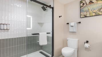 A modern bathroom with a glass-enclosed shower, a toilet, and a wall-mounted towel rack.