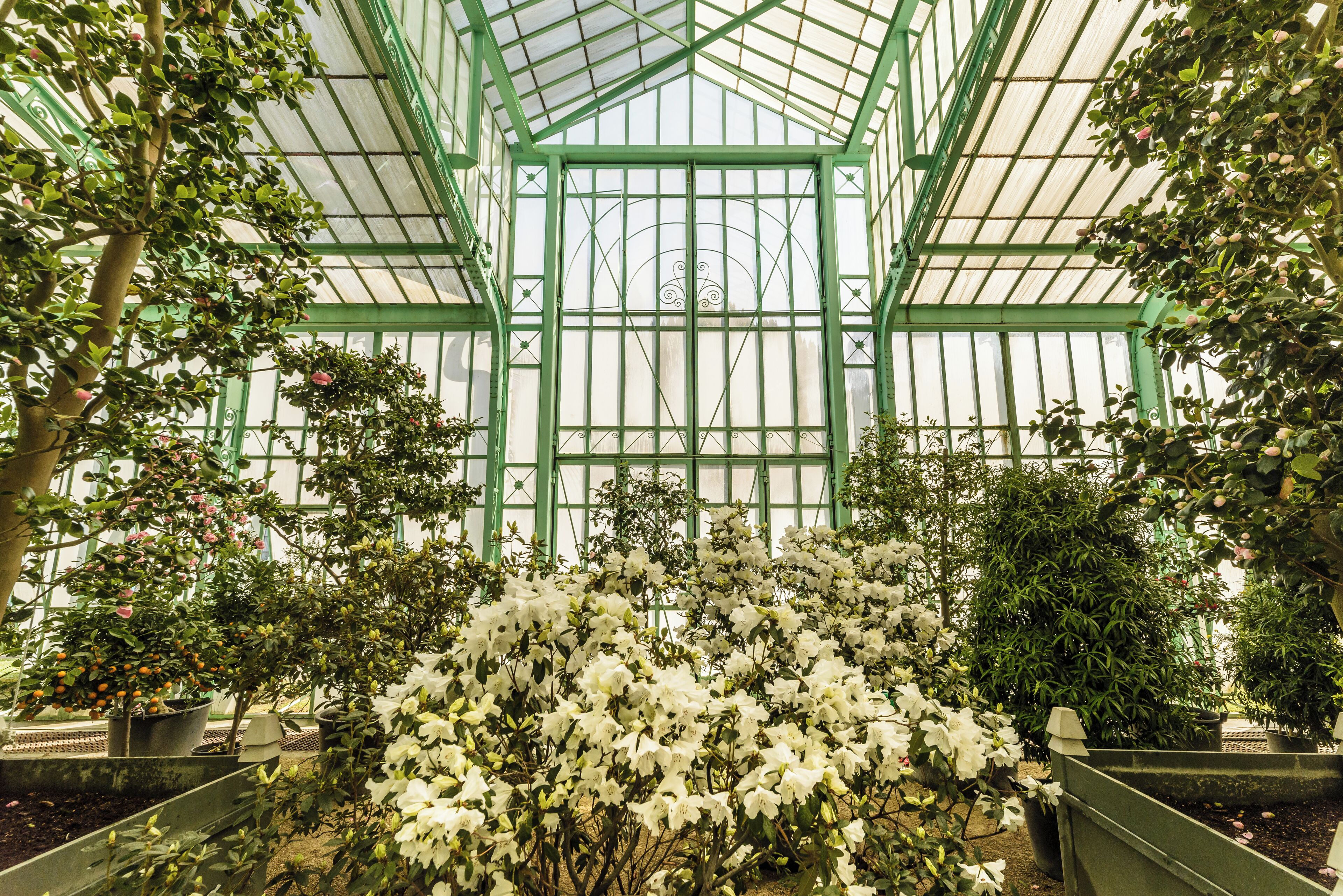 Photo - Hilton Garden Inn Brussels Airport